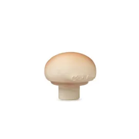 Oli and Carol Baby Teether Manolo The Mushroom