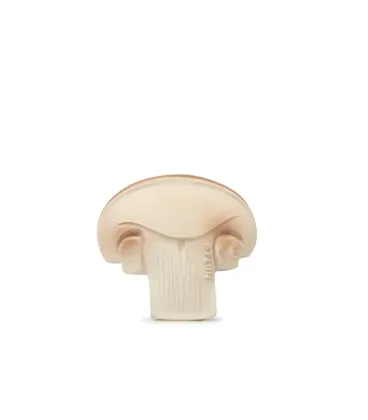 Oli and Carol Baby Teether Manolo The Mushroom